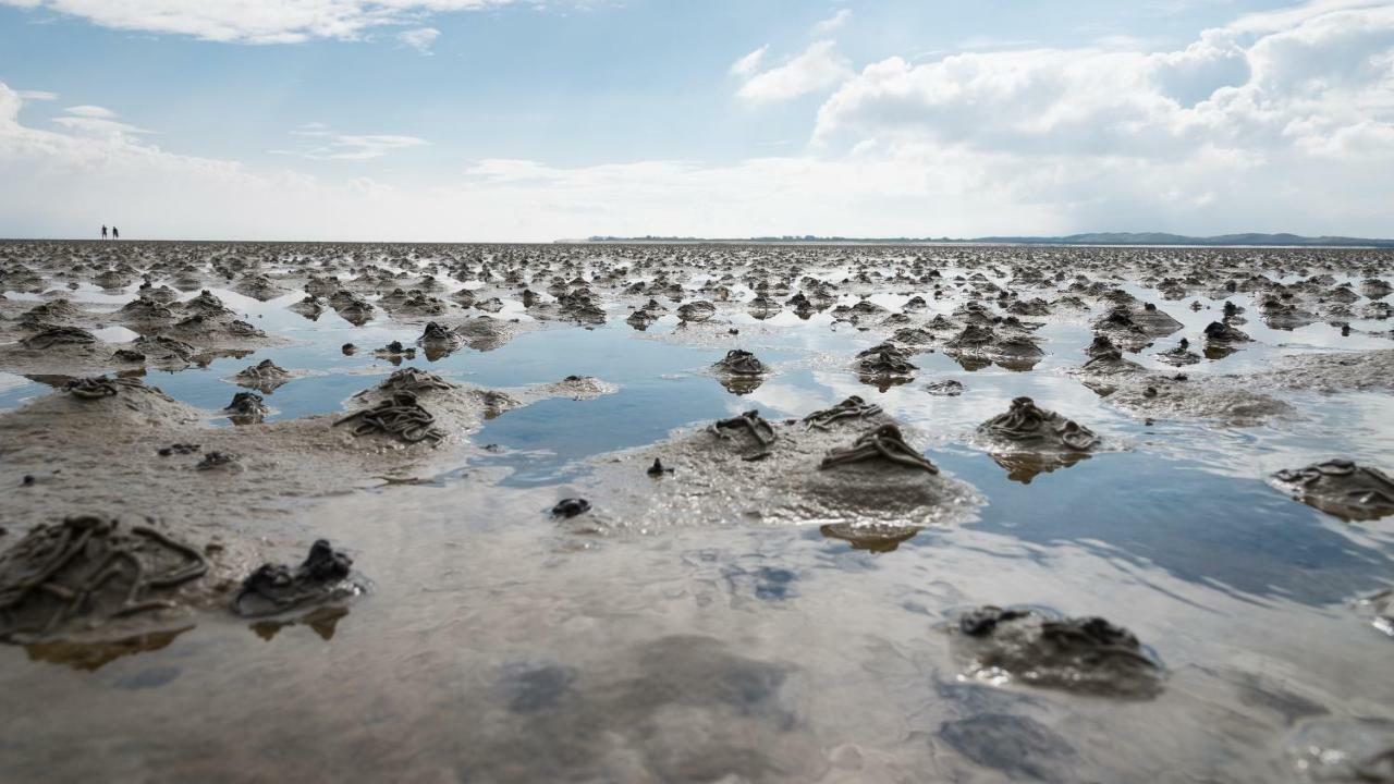 Reiterhof An Der Nordsee Witzwort Экстерьер фото